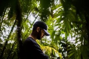 Avelino and Assassin jump on Cadenza's HARD 