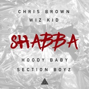 Chris Brown drops EXCLUSIVE track featuring Wizkid, Section Boyz & Hoody Baby