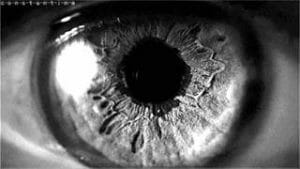 Davinche returns again with second double video 