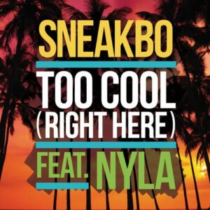 Sneakbo releases new banger 