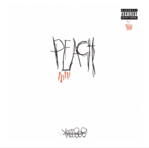 808INK release new track 