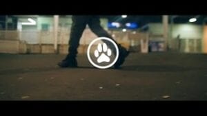 EXCLUSIVE: Chip releases visuals for 