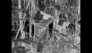 Dusky releases video for Wiley collab 