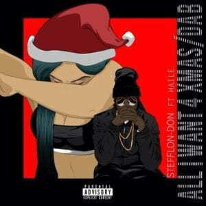 Stefflon-Don brings in Haile for 