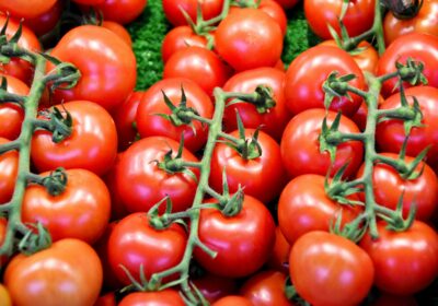 There is a global shortage of tinned tomatoes