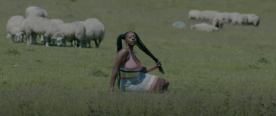 Shae Universe Shares Scenic 