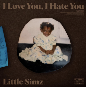 Little Simz Shares Brand-New Single 