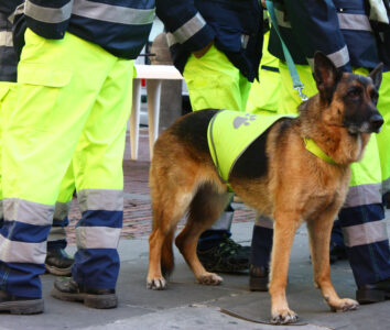 Missing Drunk Man Joins Search Party Looking For Himself