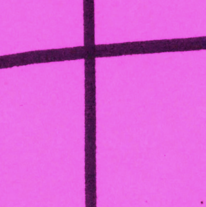 M.I.A Returns With New Single 