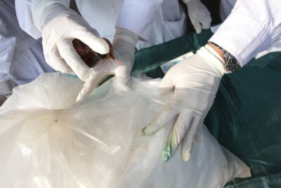 £90m of cocaine found on Welsh beach by walker