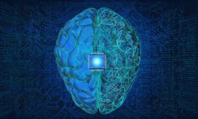 Brain Implants Could Soon Allow Us to Use Social Media With Just Our Minds