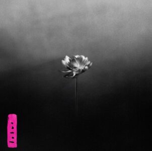 Little Simz Releases Sixth Studio Album 'Lotus'